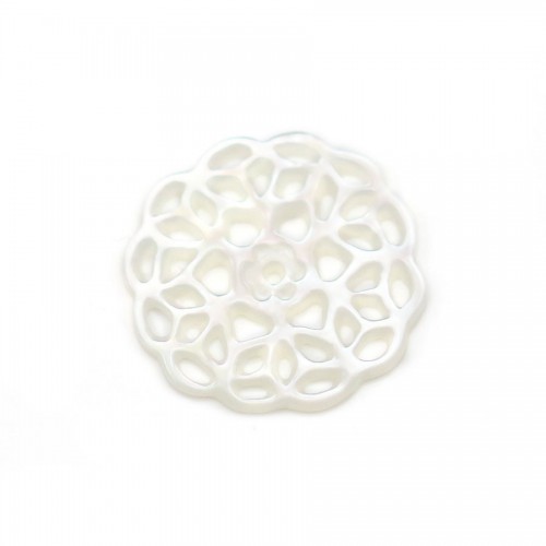 Madreperla bianca, forma di fiore, dimensioni 14 mm x 1 pz