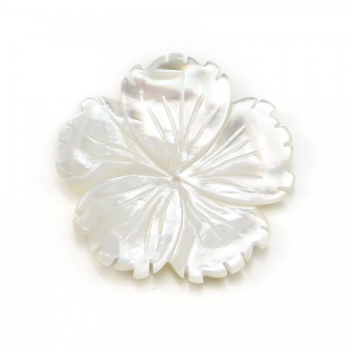 Nacre blanche en forme de fleur à 5 pétales, 30mm x 1pc