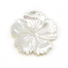 Weißes Perlmutt in Form einer Blume mit 5 Blütenblättern, 30mm x 1Stk