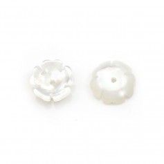 White mother-of-pearl flower cup 8mm x 2pcs