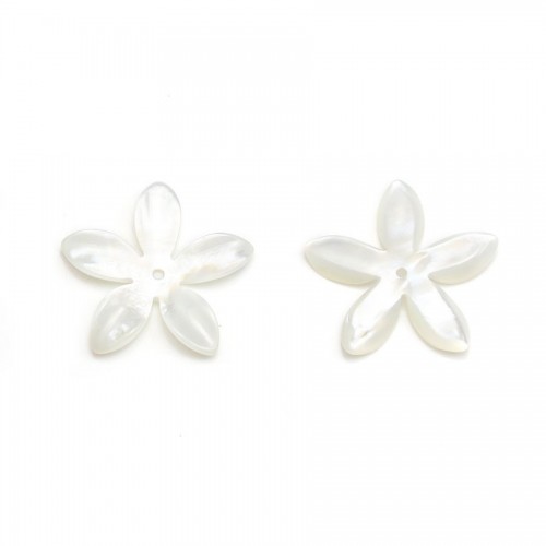 Madreperla blanca y en forma de flor 16mm x 1pc