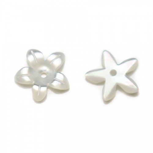 Weißes Perlmutt, blütenförmig mit 5 Blütenblättern, 10mm x 2Stk
