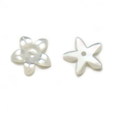 White mother-of-pearl, in shape of flower with 5 petals, 15mm x 2pcs