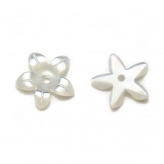 Weißes Perlmutt, blütenförmig mit 5 Blütenblättern, 10mm x 2Stk