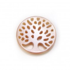 Round pink mother of pearl, tree shape, measuring 12mm x 1pc