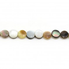Mother-of-pearl flat round 6mm x 40cm