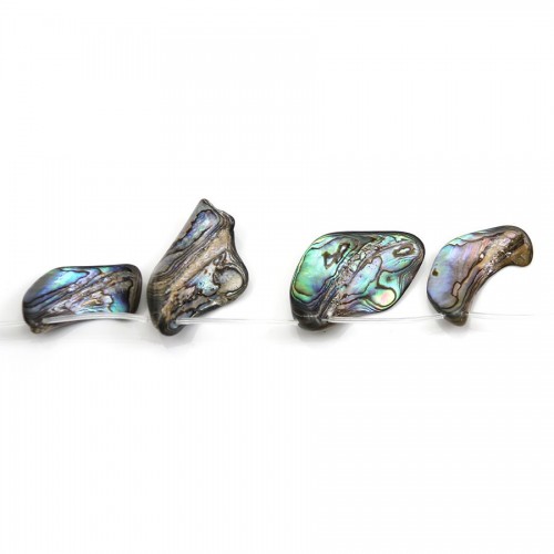 Abalone mother-of-pearl of various shapes and sizes x 39cm
