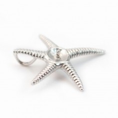 Seestern-Reling, 925er Silber, rhodiniert, für halbdurchbohrte Perle, 24mm x 1Stk