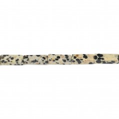 Dalmatiner Jaspis, rechteckig 4x13mm x 40cm