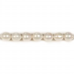 Perlas cultivadas de agua dulce, blancas, barrocas, 11mm x 40cm