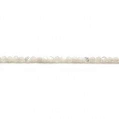 Madreperla, blanca, redonda facetada, 2mm x 40cm