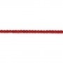 Bambou mer teinte rouge Rond 2mm x 40cm
