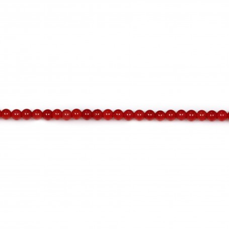 Red colored round sea bamboo 2mm x 50pcs 
