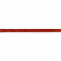 Bambou de mer, teinte rouge, tube, 3x7mm x 40cm