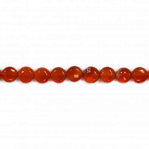 Cornelian flat round beads on thread 8mm x 40cm