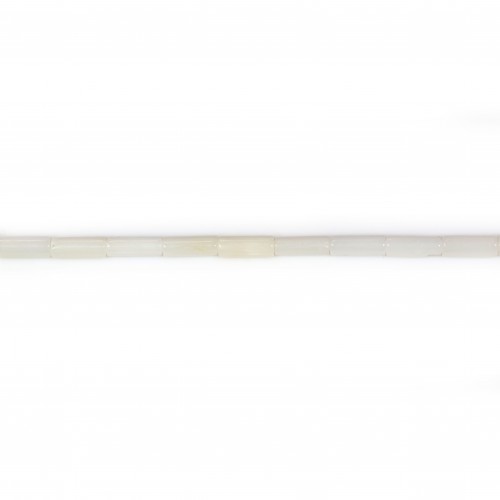 Bambou de mer blanc tube 2x4mm x 40cm