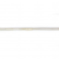 Tubo de bambú marino blanco 2x6mm x 40cm