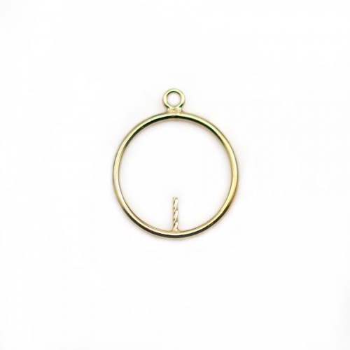 Runder Charm 15x0.7mm, in gold-filled x 1pc