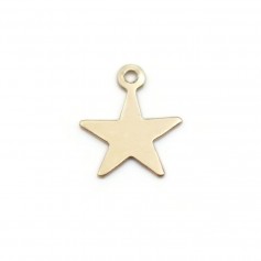 Charm awards a medal to star to engrave in Gold-Filled 8mm x 2pcs