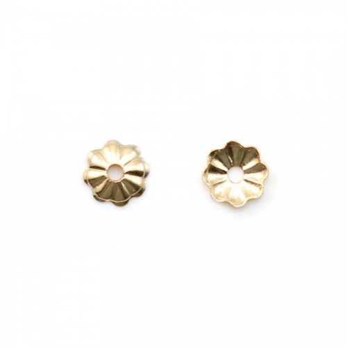 Blume Cup in Gold Filled 3x0.76mm x 20pcs