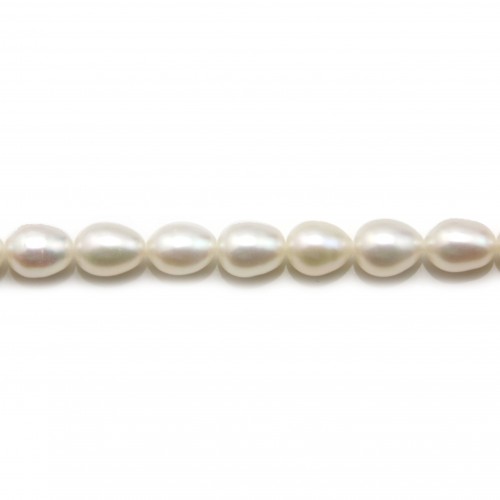 Perles d'eau douce blanches olive 7-8mm x 40cm
