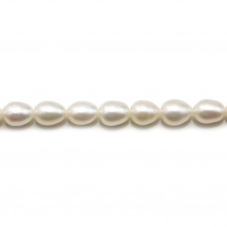 Perles d'eau douce blanches rondes 7mm x 5pcs