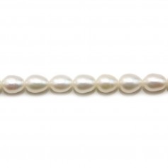 White Freshwater cultured Pearl, olive shape 6-7mm x 4pcs