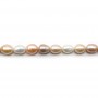 Perles de culture d'eau douce, multicolore, olive, 10-11mm x 40cm