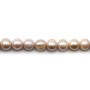 Perles de culture d'eau douce, mauve, semi-ronde, 11-12mm x 40 cm
