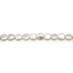 Freshwater cultured pearls, white, round flat, 11mm x 38cm