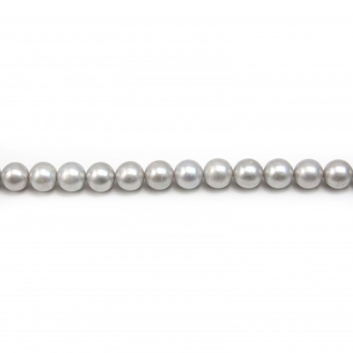 Perles de culture d'eau douce, gris, ronde, 10mm x 40cm