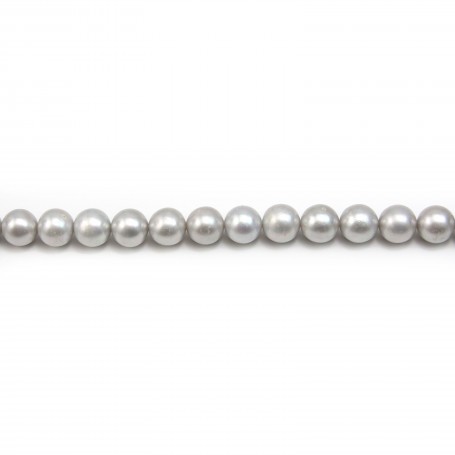 Perles de culture d'eau douce, grise, ronde, 10mm x 40cm