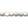 Perles de culture d'eau douce, blanche, ronde plate 12-14mm x40cm