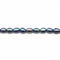 Perles de culture d'eau douce, bleue foncée, olive, 5-6mm x 4pcs