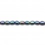 Perles de culture d'eau douce, bleue foncée, olive, 5-6mm x 40cm