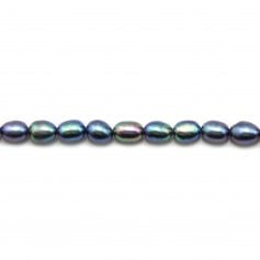 Freshwater cultured pearls, dark blue, olive, 5-6mm x 40cm