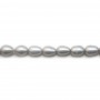Perles d'eau douce ovales gris clair argenté 7-8mm x 4pcs