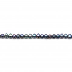 Freshwater cultured pearls, dark blue, oval, 4-5mm x 4pcs
