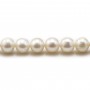 Perle coltivate d'acqua dolce, bianche, rotonde, 8 mm x 40 cm