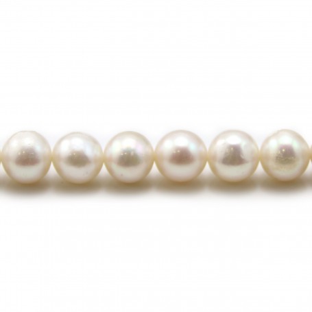 Perles d'eau Douce Blanc rond 8-9mm AAA x 40cm