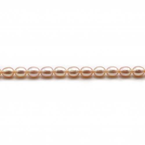 Freshwater pearls colored salmon, in oval shaped, 6 - 7mm x 6pcs