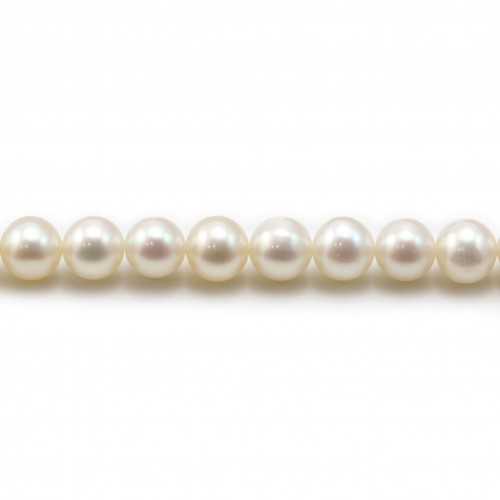 Perles d'eau douce blanches rondes sur fil 6mm x 40cm