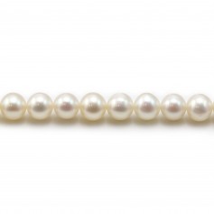 Perles de culture d'eau douce, blanche, ronde, 6mm x 40cm