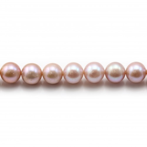 Perle coltivate d'acqua dolce, viola, rotonde, 8-9 mm x 40 cm