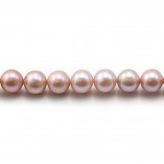 Perle coltivate d'acqua dolce, viola, rotonde, 8-9 mm x 40 cm