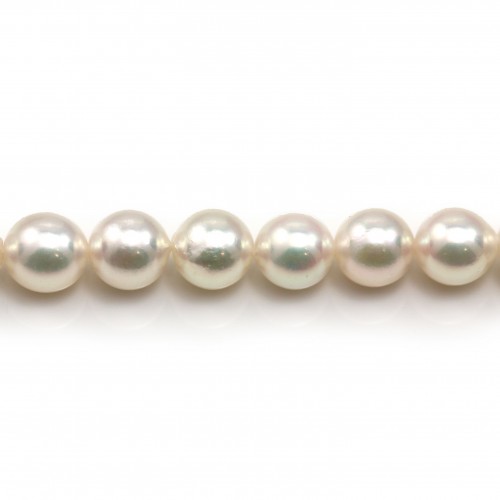 Perles culture AKOYA japonais rond 8-9mm AAA X 40cm