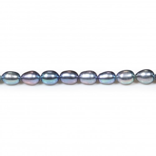 Perles de culture d'eau douce, bleu violacé, olive, 6mm x 40 cm