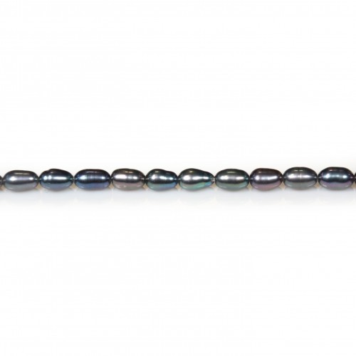 Perles de culture d'eau douce, bleu fonce, olive, 3-4mm x 36cm