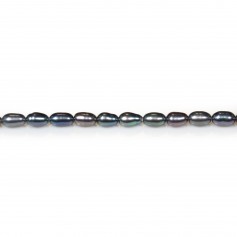 Perle coltivate d'acqua dolce, blu scuro, oliva, 3-4 mm x 36 cm