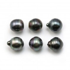 Perle de culture de Tahiti, semi-ronde, 12-13mm x 6pcs